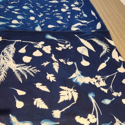 Cyanotype: Botanical Blue Print on Fabrice Print